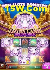 Programa VIP 11x